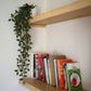 Solid Wood Alcove Floating Shelves - 98 cm by 20 cm